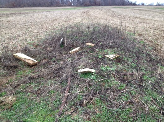 The sad state of Maddox Cemetery