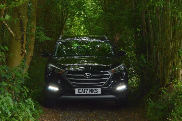 crazyhedgerows shropshire