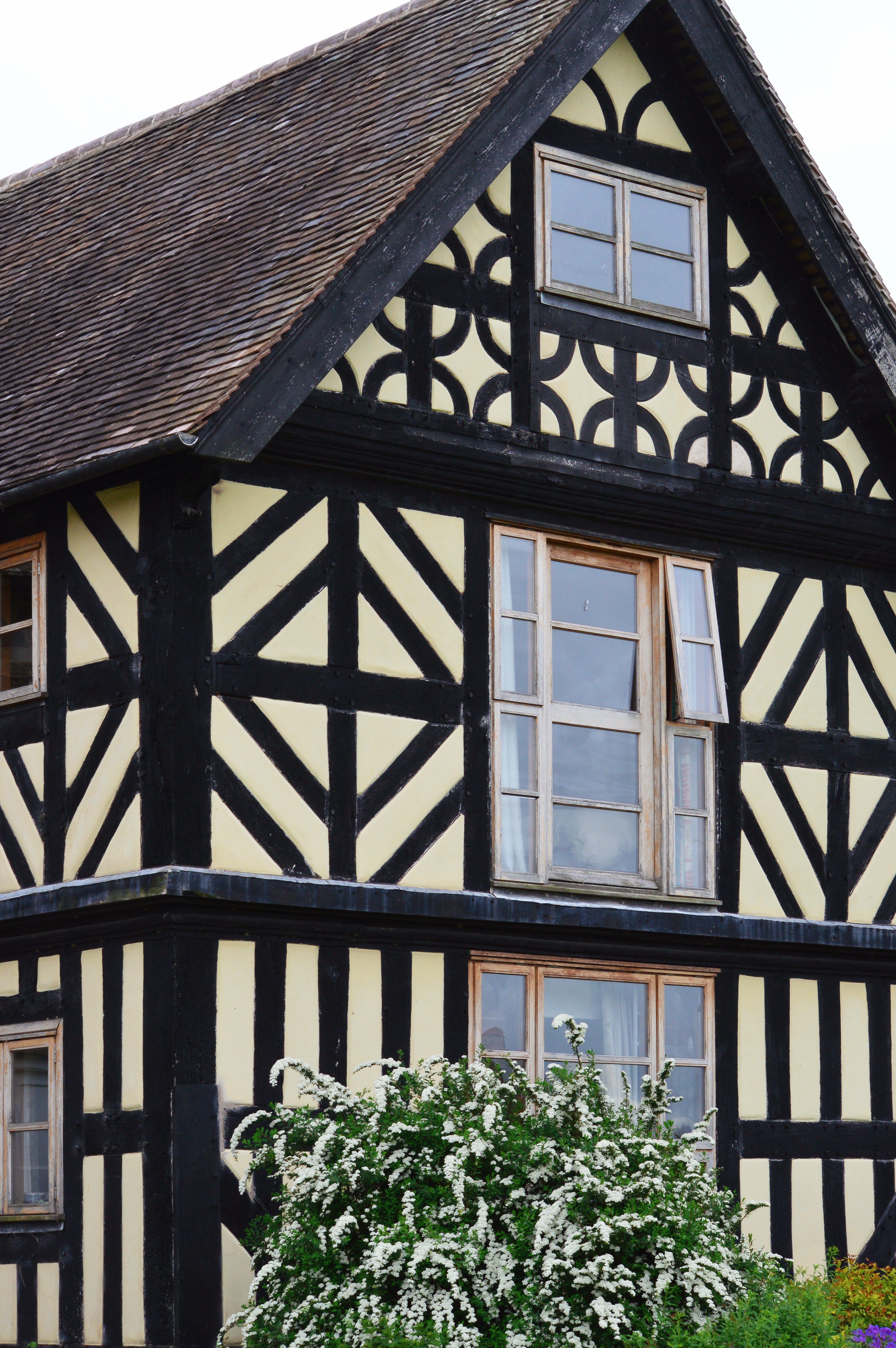 Thonglands black and white section.jpg